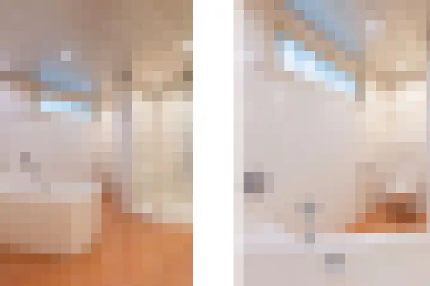 Heijskampstraat 35 Steyl thumbnail 43