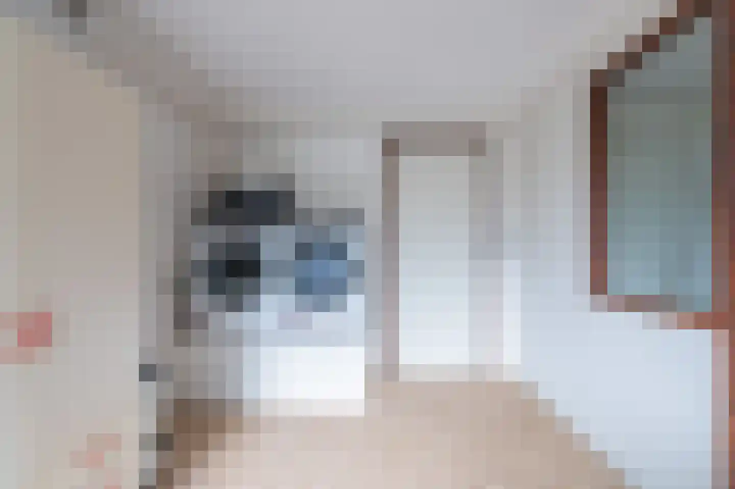 Heijskampstraat 35 Steyl thumbnail 45