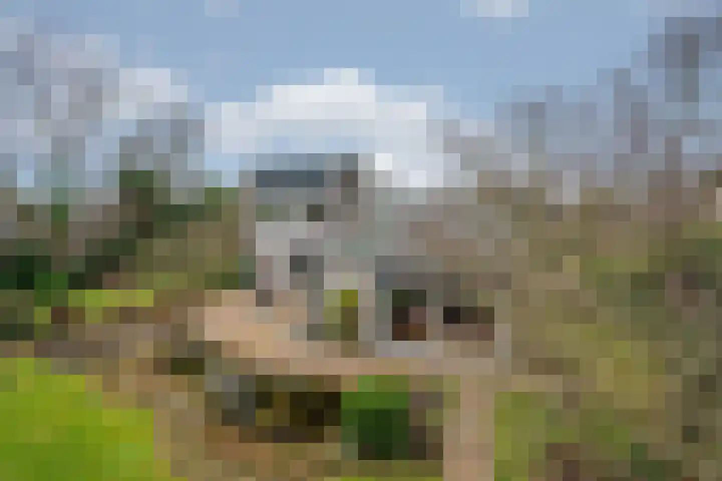 Heijskampstraat 35 Steyl thumbnail 56