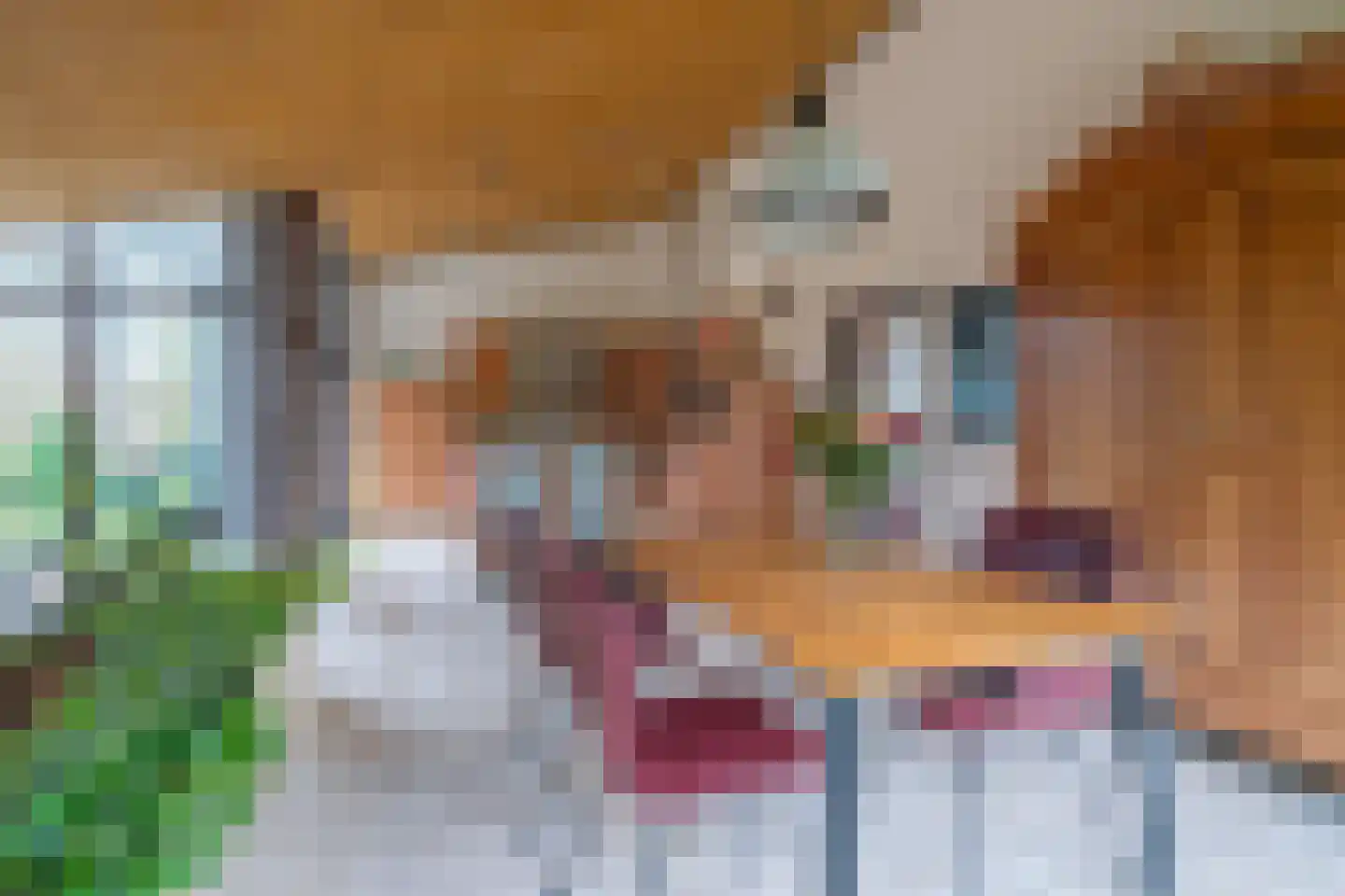 Heijskampstraat 35 Steyl thumbnail 9
