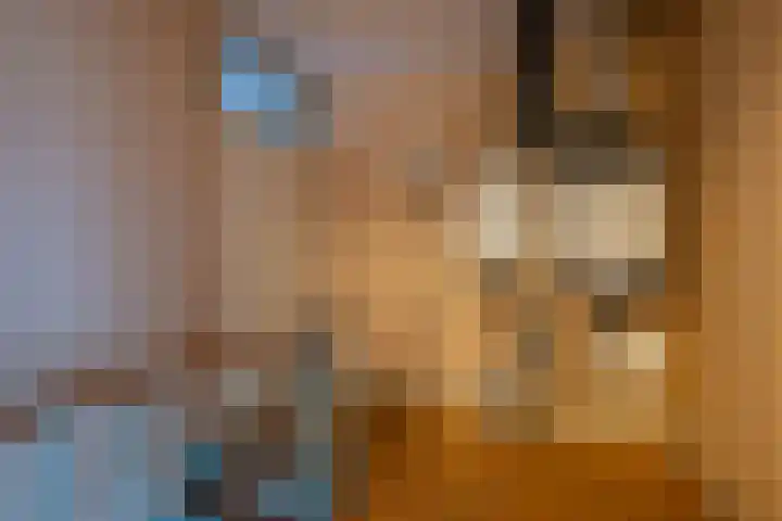 Heijskampstraat 54 Steyl thumbnail 17