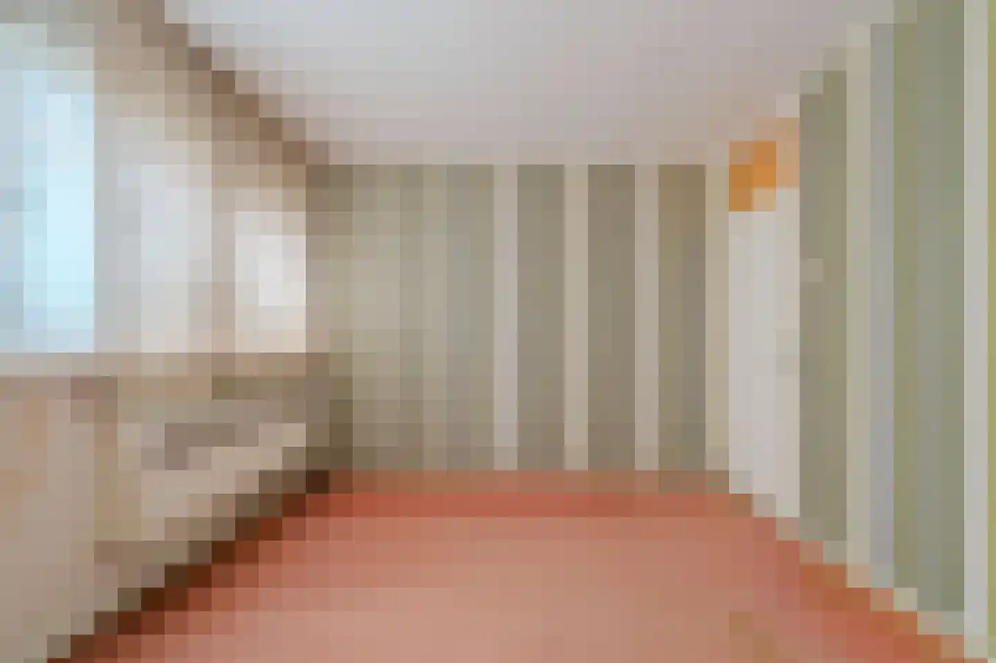 Heijskampstraat 54 Steyl thumbnail 21