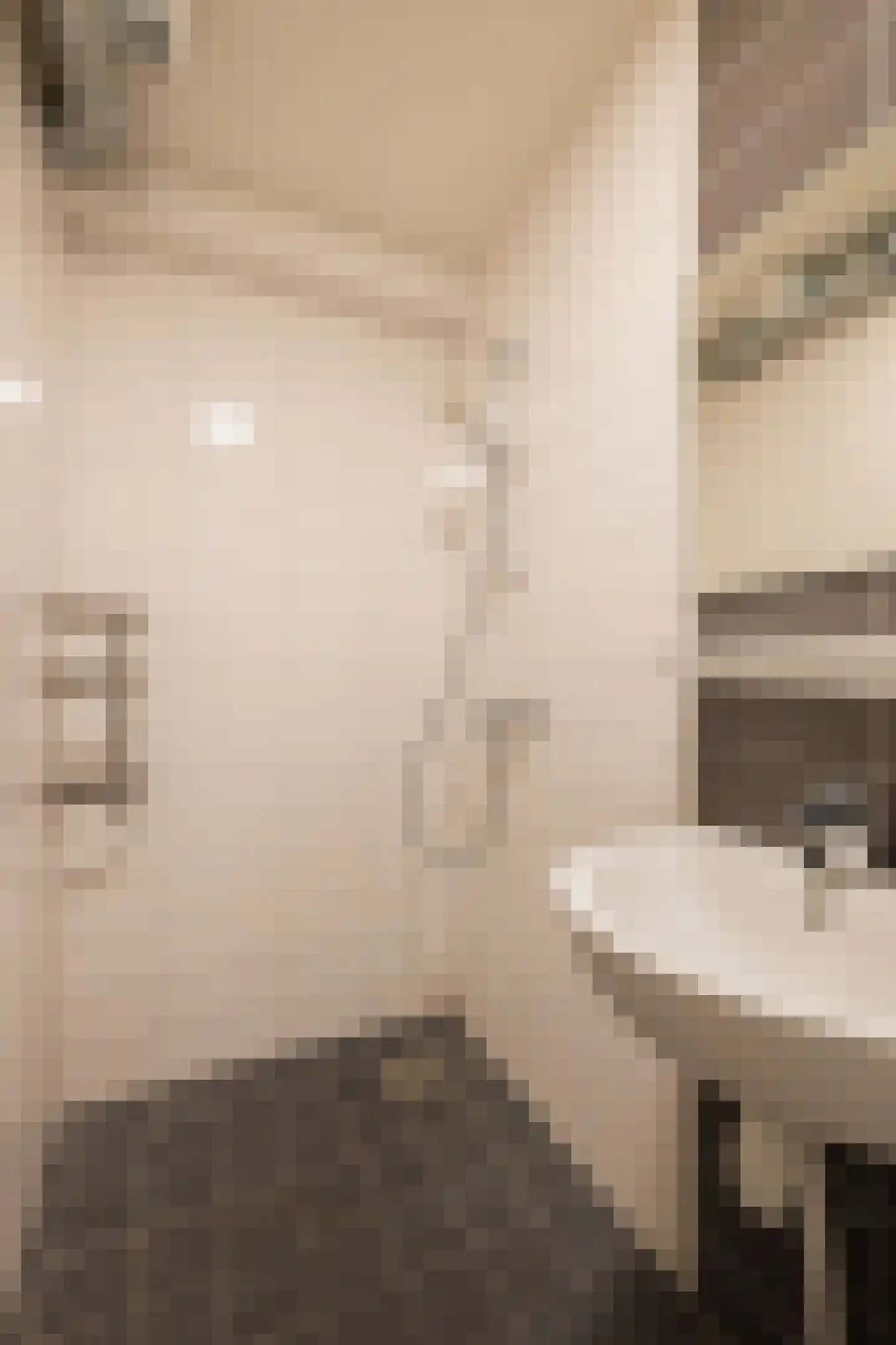 Heijskampstraat 54 Steyl thumbnail 22