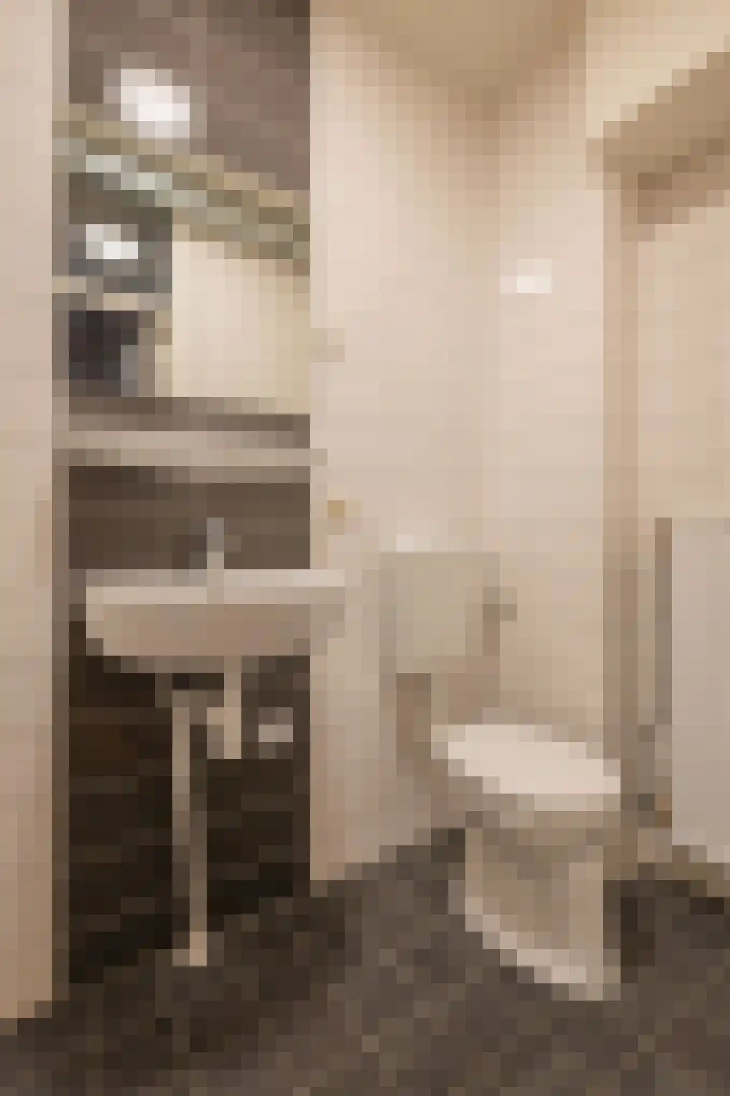 Heijskampstraat 54 Steyl thumbnail 23
