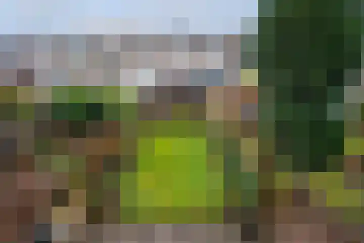 Heijskampstraat 54 Steyl thumbnail 25
