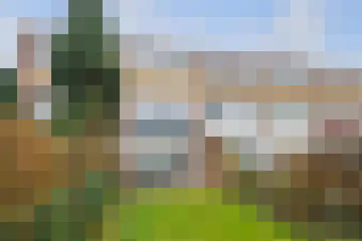 Heijskampstraat 54 Steyl thumbnail 5