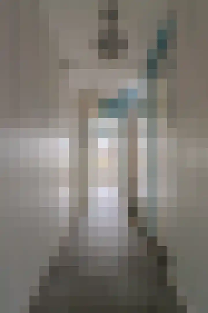 Heijskampstraat 54 Steyl thumbnail 7