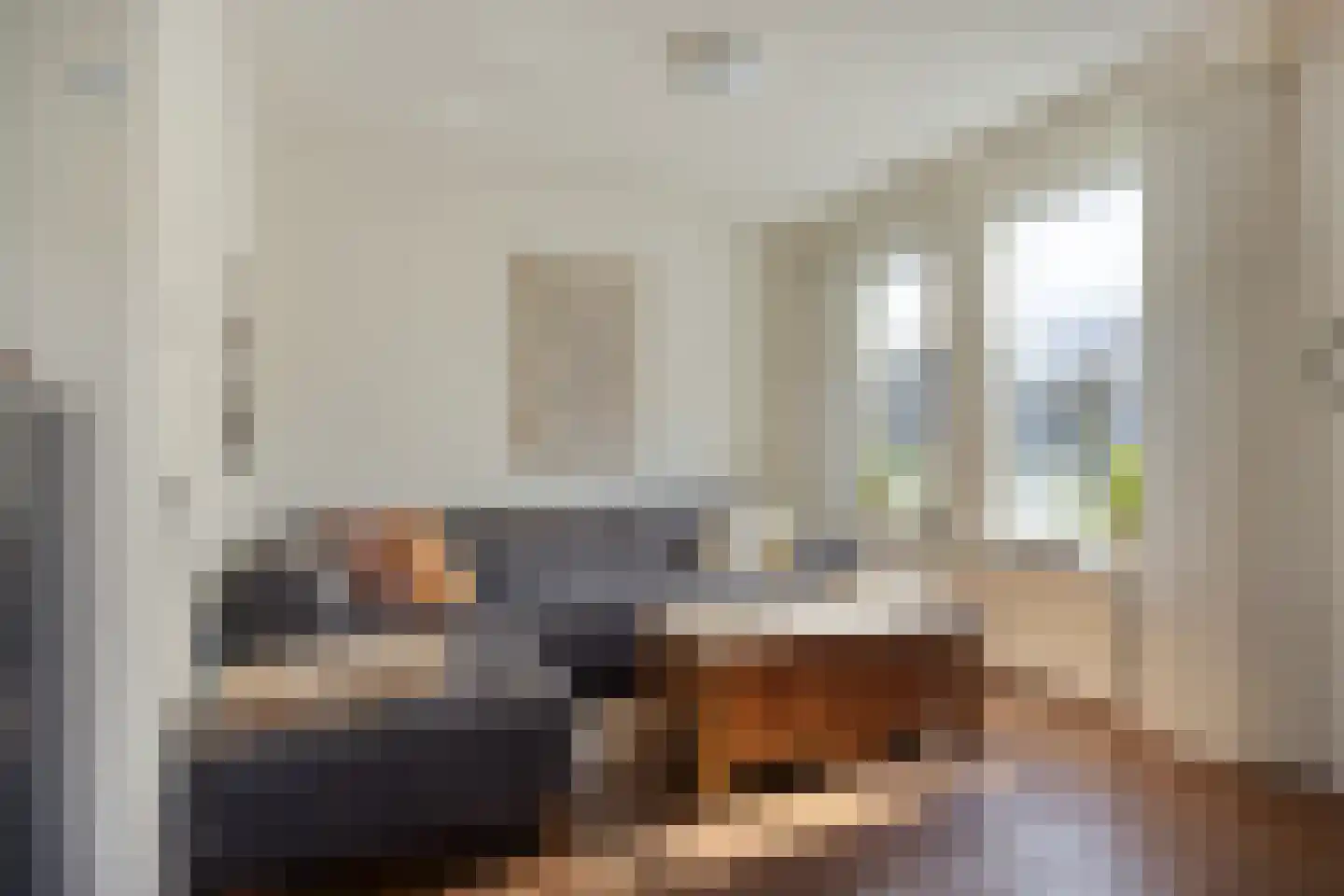 Heijtsveld 112 Gemert thumbnail 10