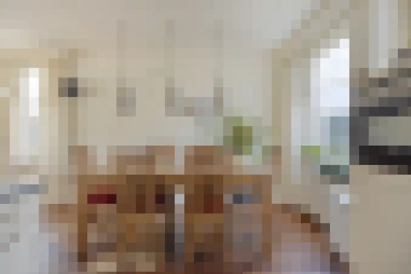 Heijtsveld 112 Gemert thumbnail 14