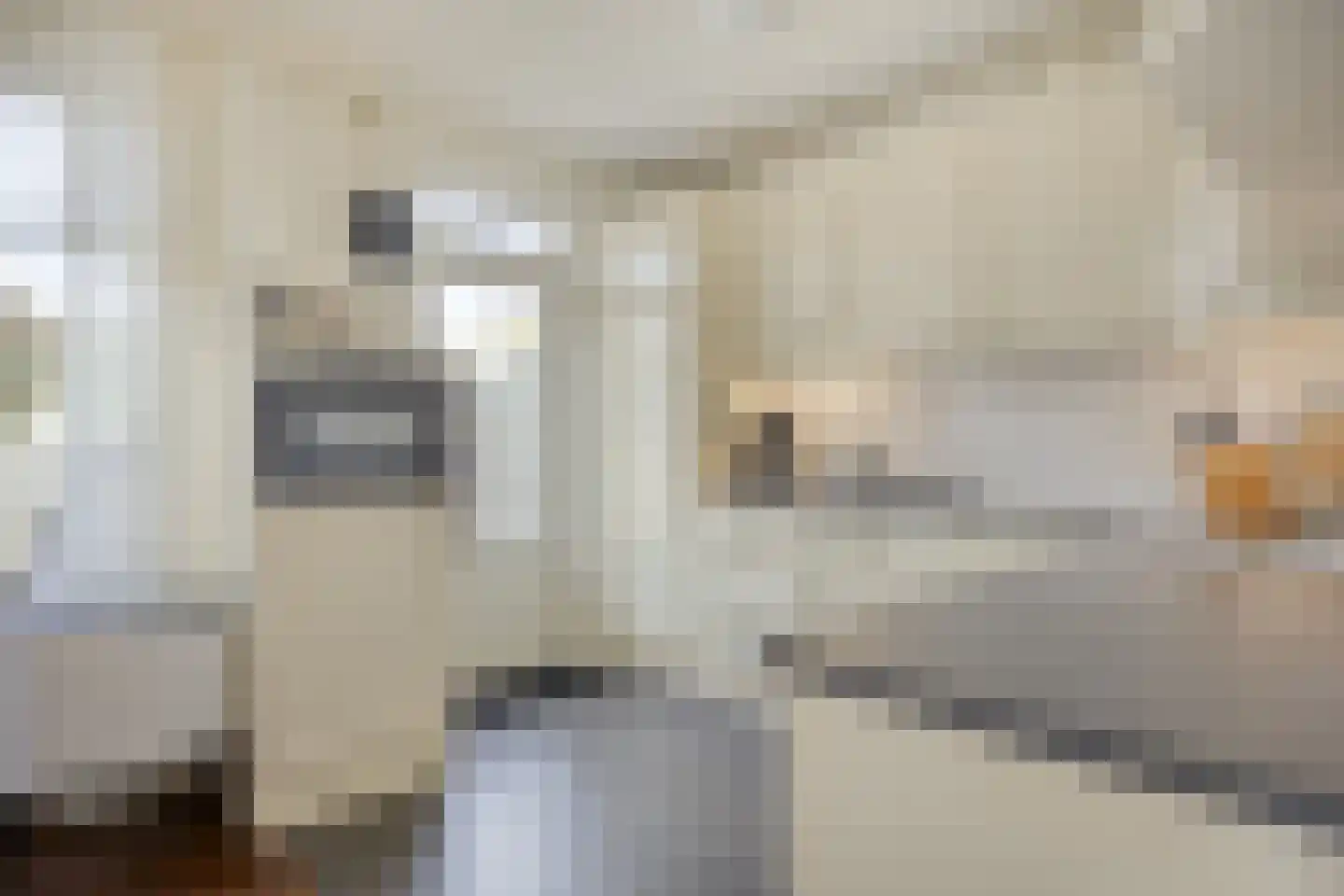 Heijtsveld 112 Gemert thumbnail 16