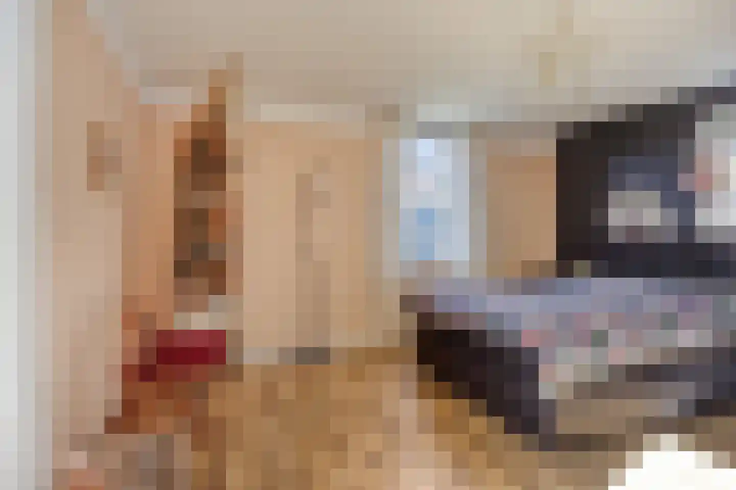 Heijtsveld 112 Gemert thumbnail 21