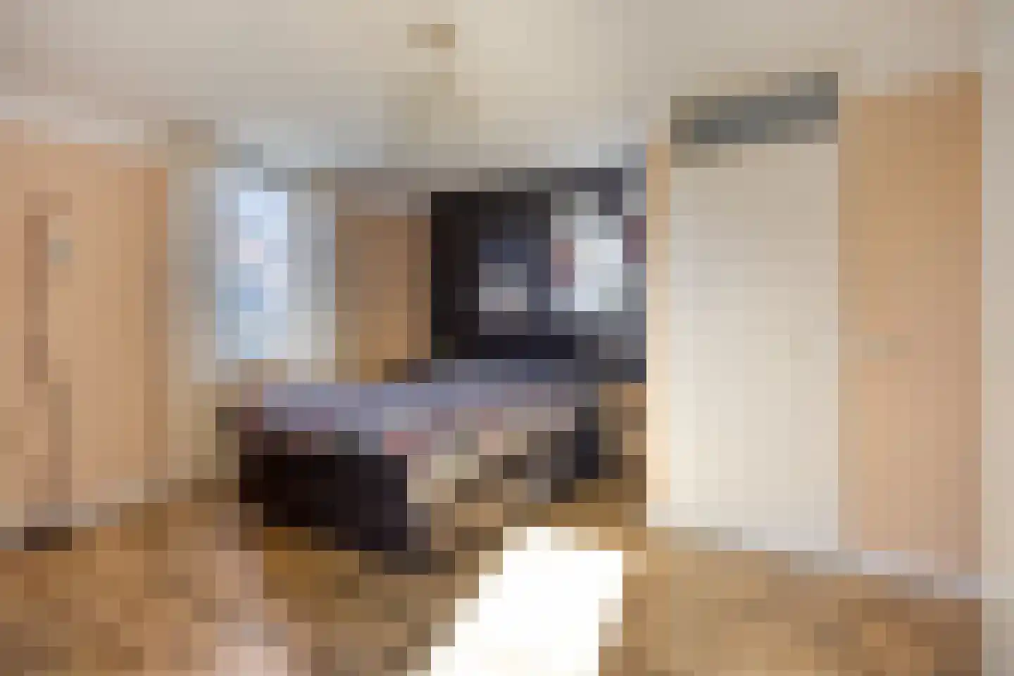 Heijtsveld 112 Gemert thumbnail 22