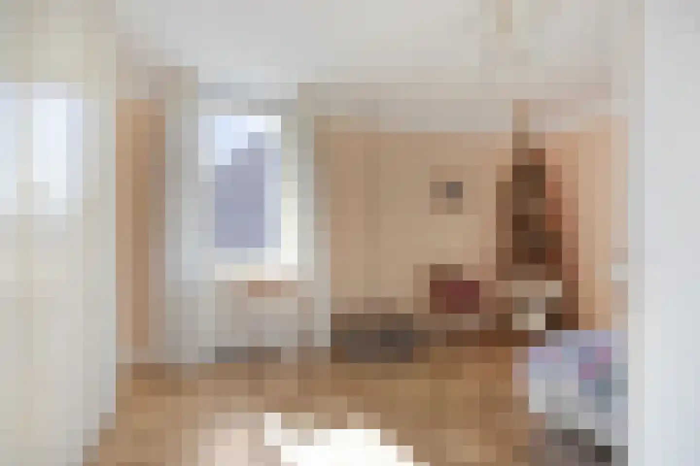 Heijtsveld 112 Gemert thumbnail 23