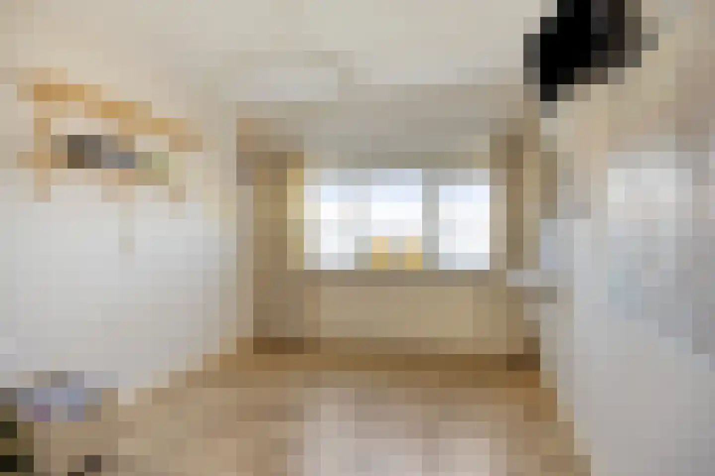 Heijtsveld 112 Gemert thumbnail 25