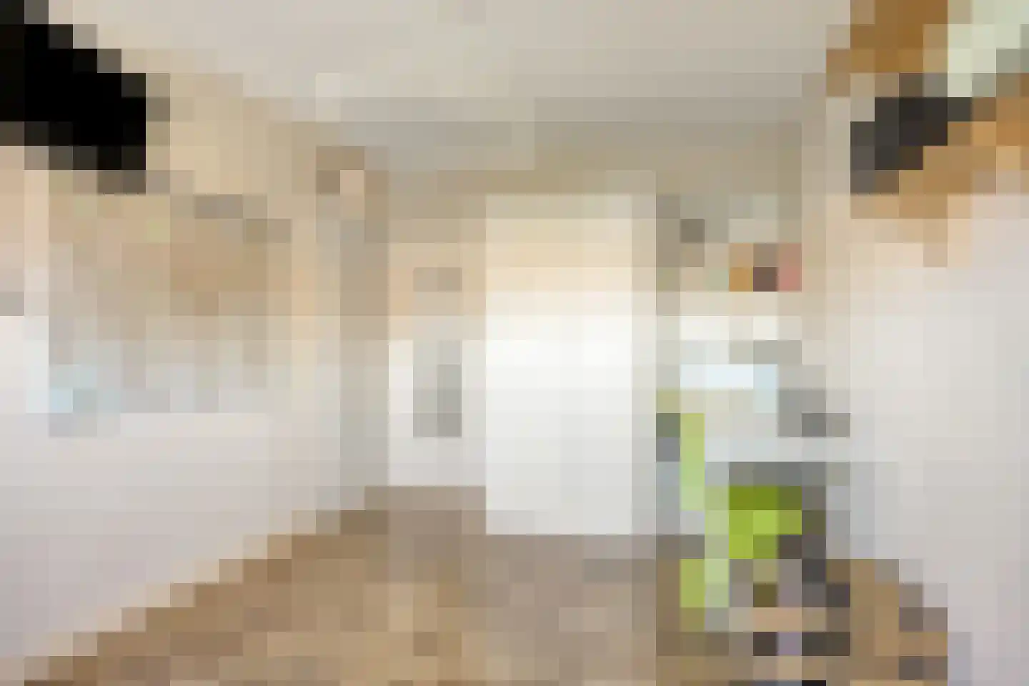 Heijtsveld 112 Gemert thumbnail 26