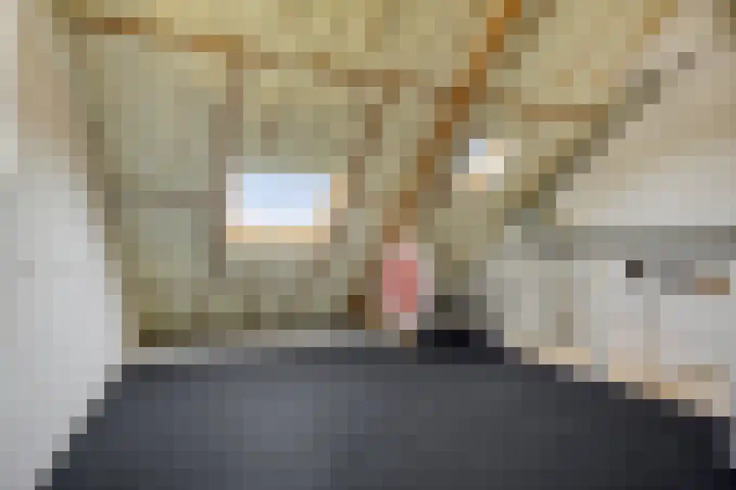 Heijtsveld 112 Gemert thumbnail 30