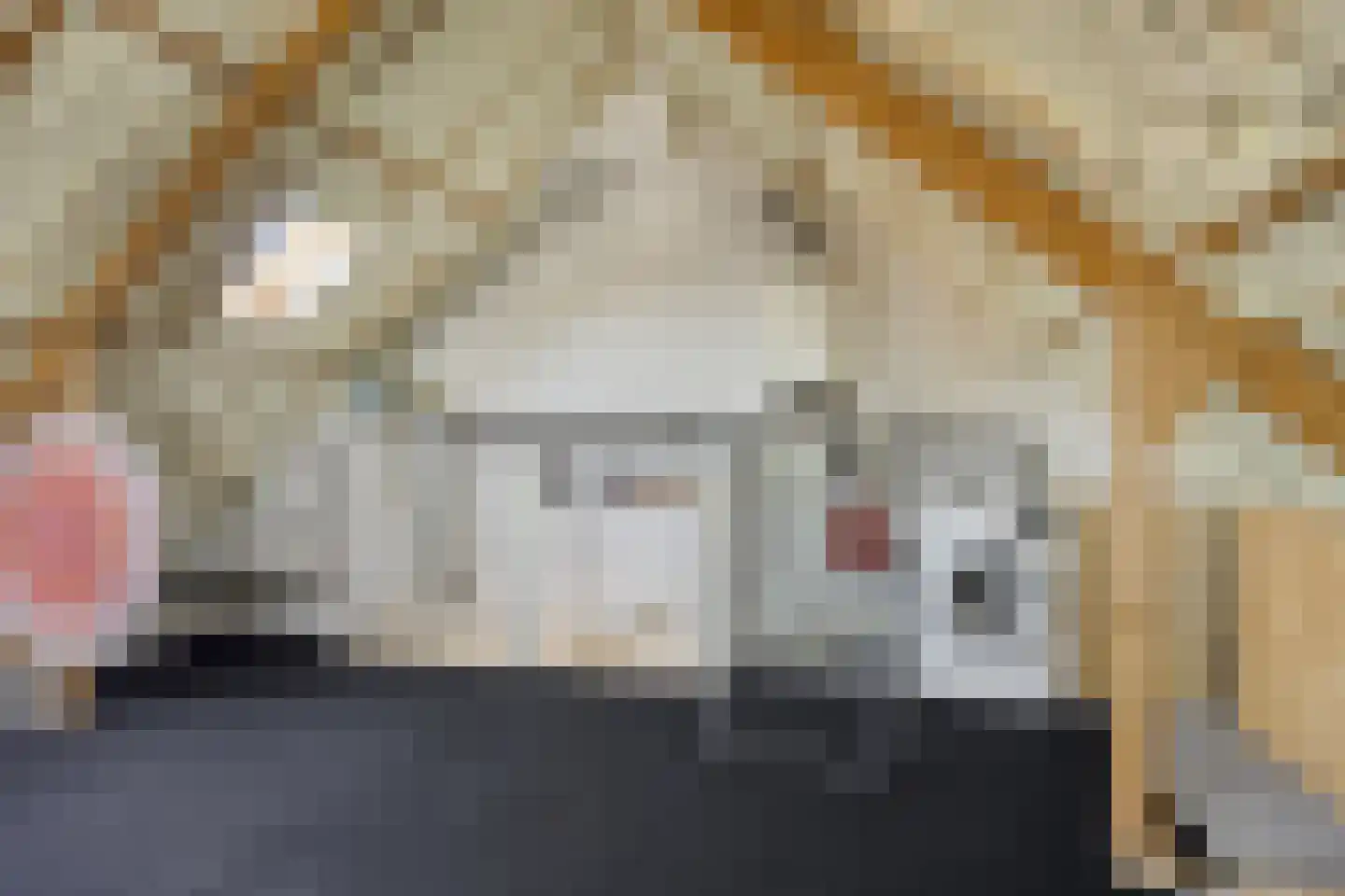 Heijtsveld 112 Gemert thumbnail 32
