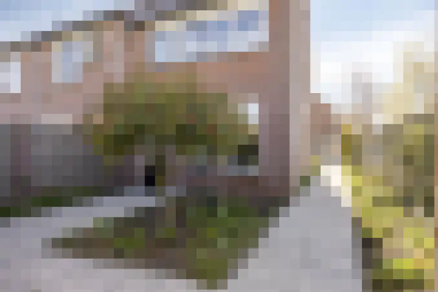 Heijtsveld 112 Gemert thumbnail 35