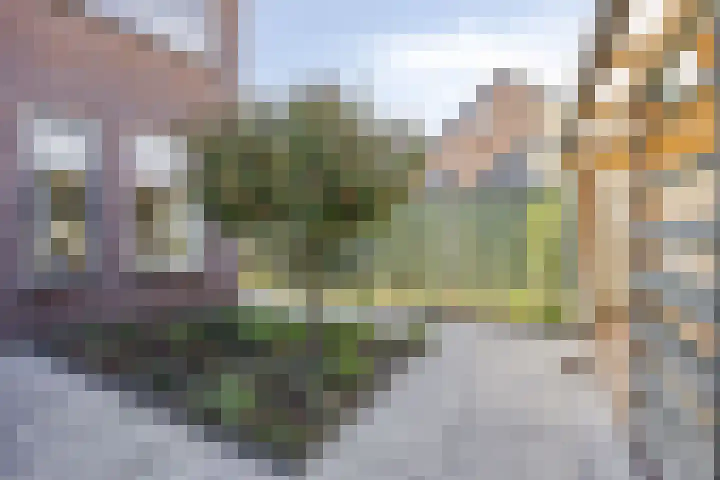 Heijtsveld 112 Gemert thumbnail 36