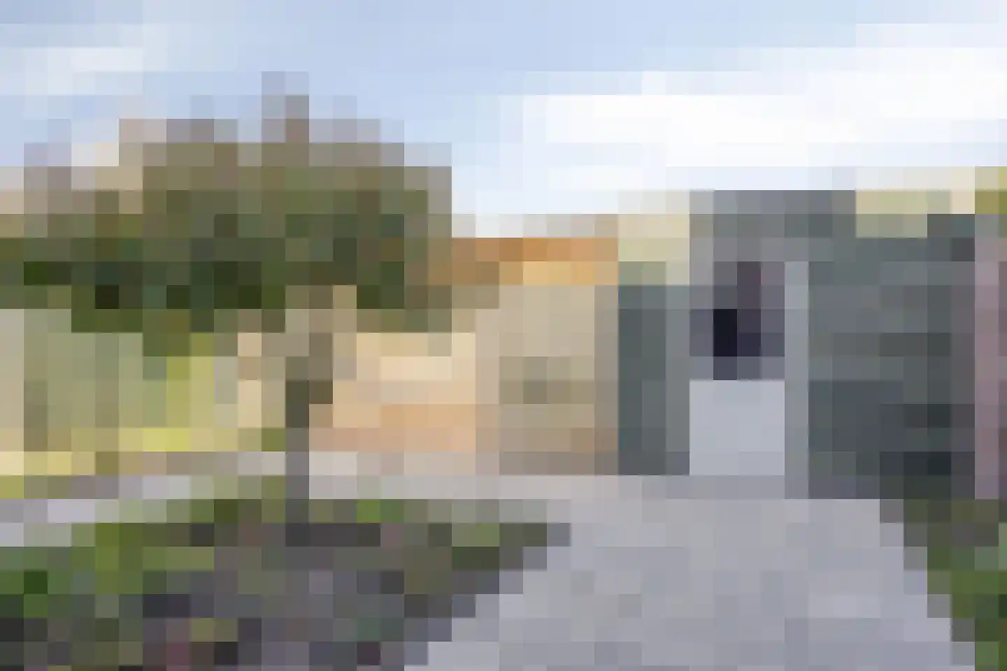 Heijtsveld 112 Gemert thumbnail 38