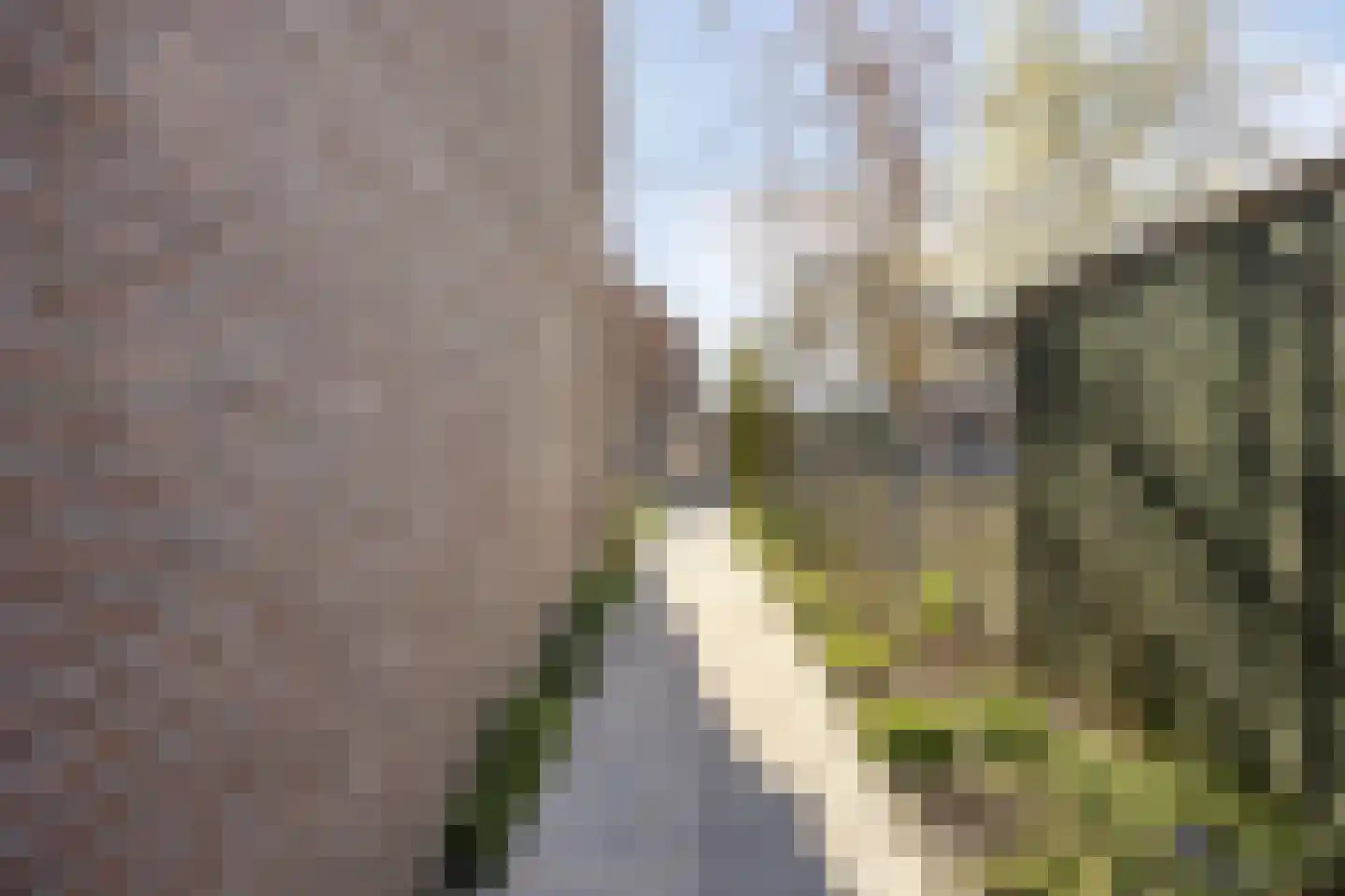 Heijtsveld 112 Gemert thumbnail 39