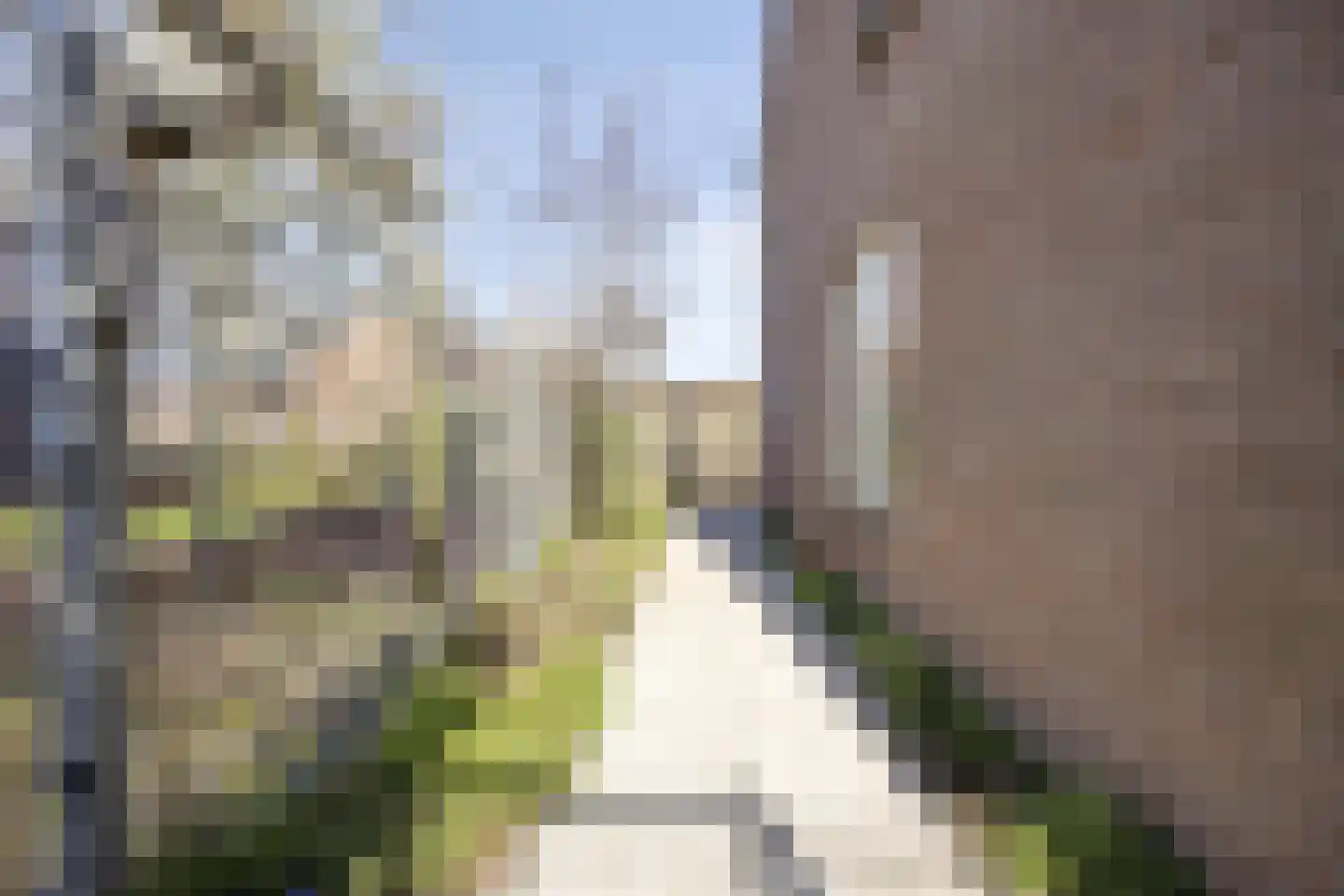 Heijtsveld 112 Gemert thumbnail 40