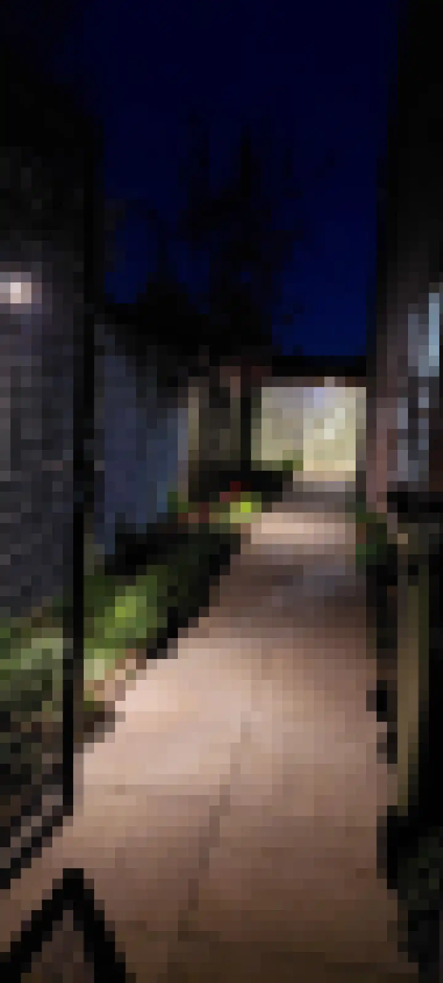 Heijtsveld 112 Gemert thumbnail 41
