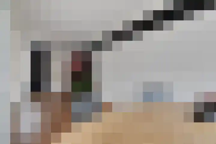 Heijtsveld 148 Gemert thumbnail 10