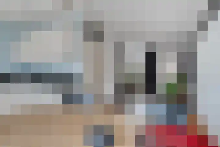 Heijtsveld 148 Gemert thumbnail 11