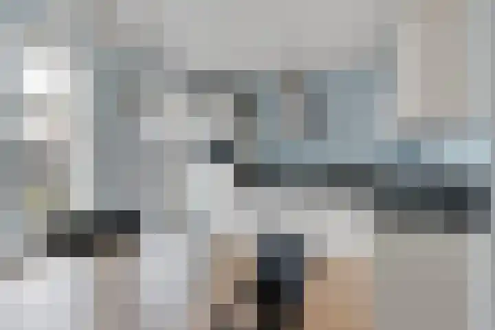 Heijtsveld 148 Gemert thumbnail 12
