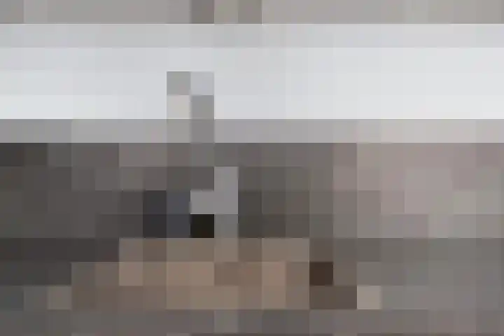Heijtsveld 148 Gemert thumbnail 14