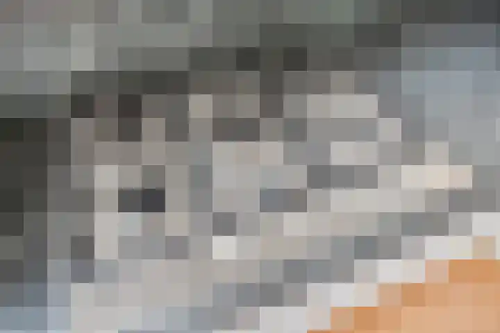 Heijtsveld 148 Gemert thumbnail 15