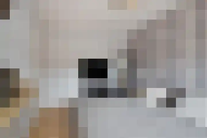 Heijtsveld 148 Gemert thumbnail 18