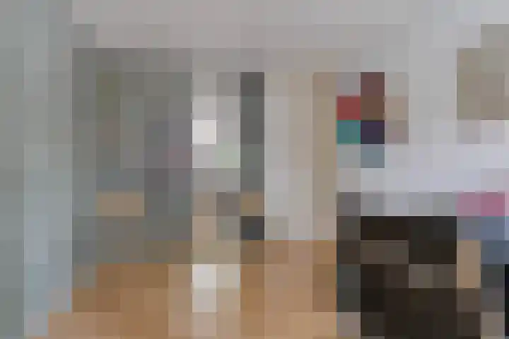 Heijtsveld 148 Gemert thumbnail 19