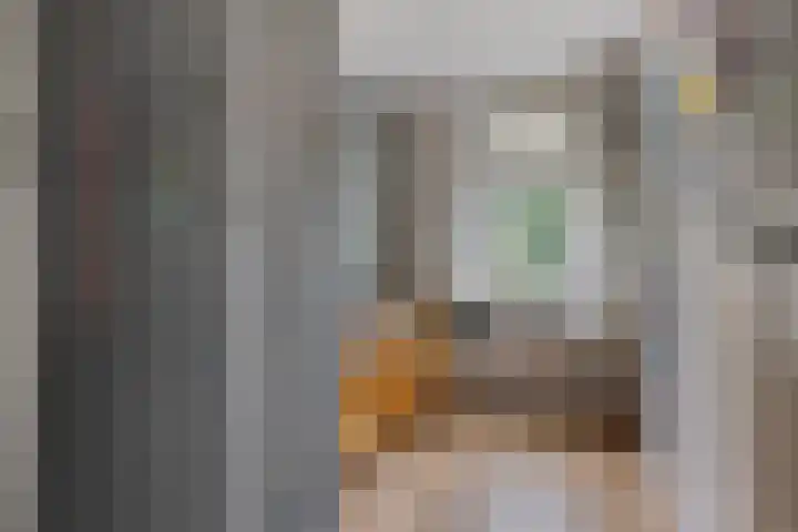 Heijtsveld 148 Gemert thumbnail 21