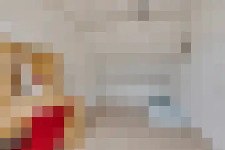 Heijtsveld 148 Gemert thumbnail 25
