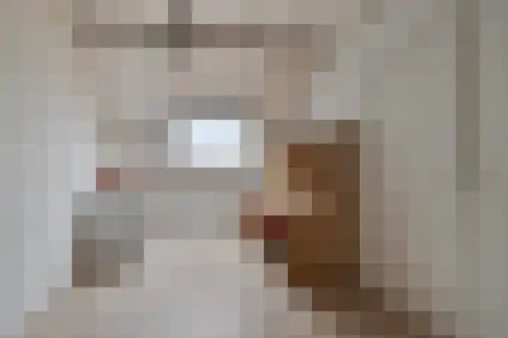 Heijtsveld 148 Gemert thumbnail 26