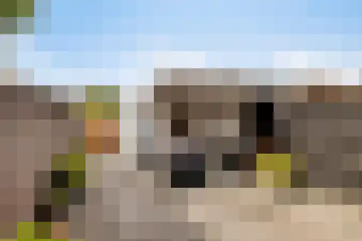 Heijtsveld 148 Gemert thumbnail 28