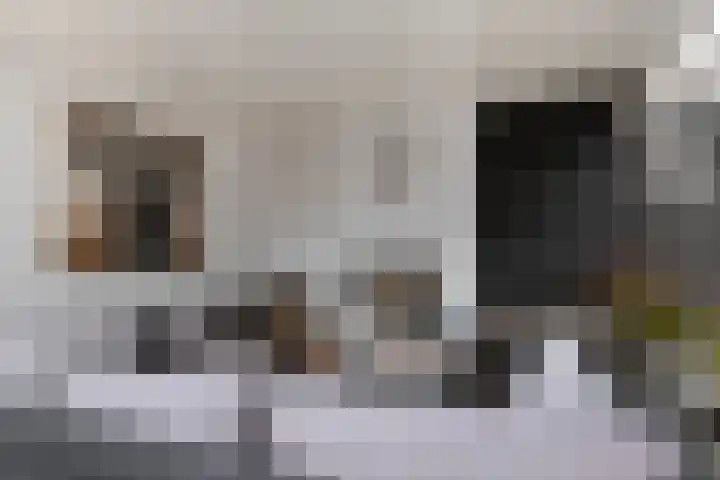 Heijtsveld 148 Gemert thumbnail 29