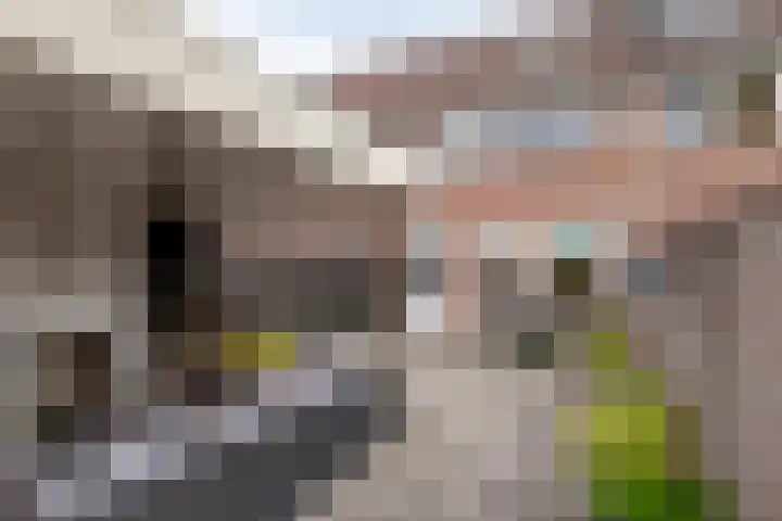 Heijtsveld 148 Gemert thumbnail 30
