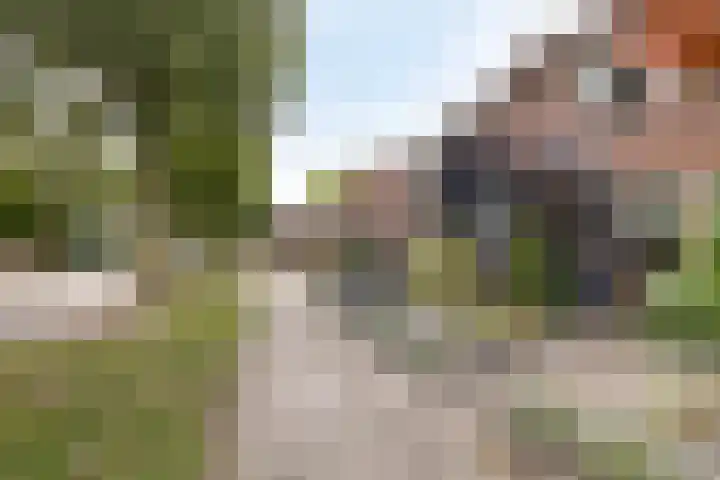 Heijtsveld 148 Gemert thumbnail 36