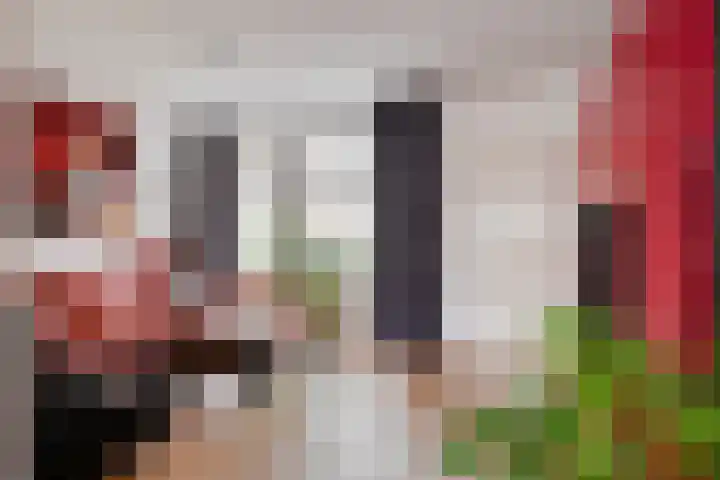 Heijtsveld 148 Gemert thumbnail 8