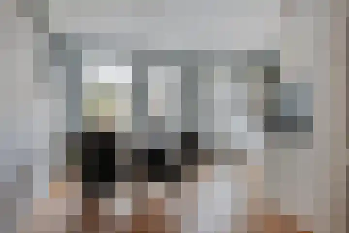 Heijtsveld 148 Gemert thumbnail 9