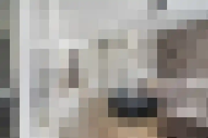 Heijtsveld 158 Gemert thumbnail 11