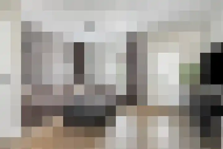 Heijtsveld 158 Gemert thumbnail 12