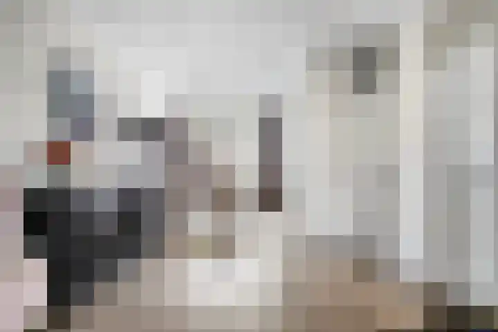 Heijtsveld 158 Gemert thumbnail 14