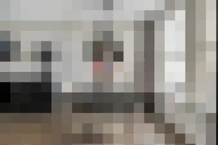 Heijtsveld 158 Gemert thumbnail 16