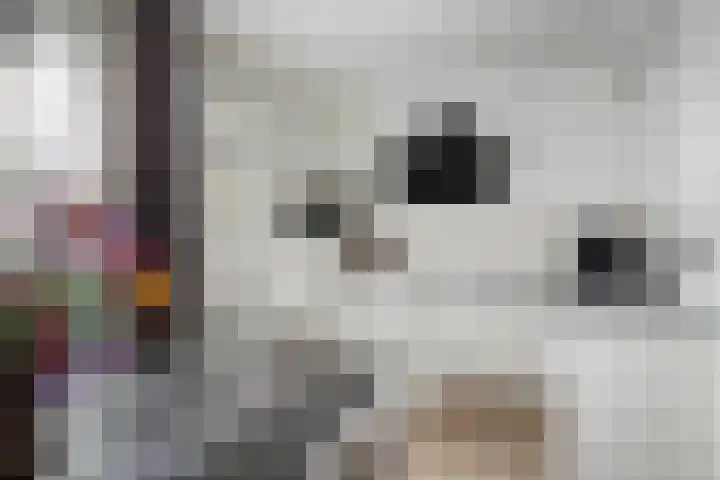 Heijtsveld 158 Gemert thumbnail 17