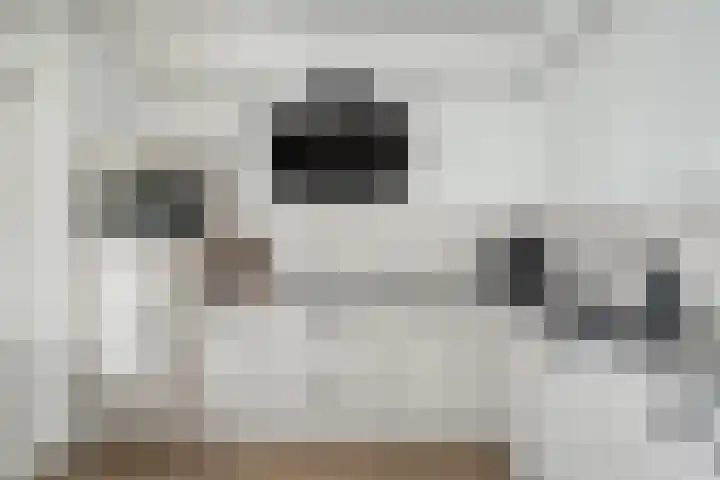Heijtsveld 158 Gemert thumbnail 18
