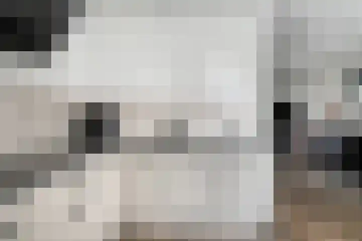 Heijtsveld 158 Gemert thumbnail 20